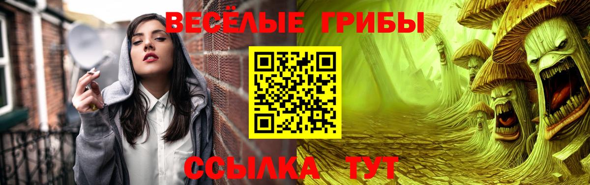 Псилоцибиновые грибы Psilocybe Краснотурьинск